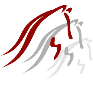 Elite Sportpferde (Daniel Güss)